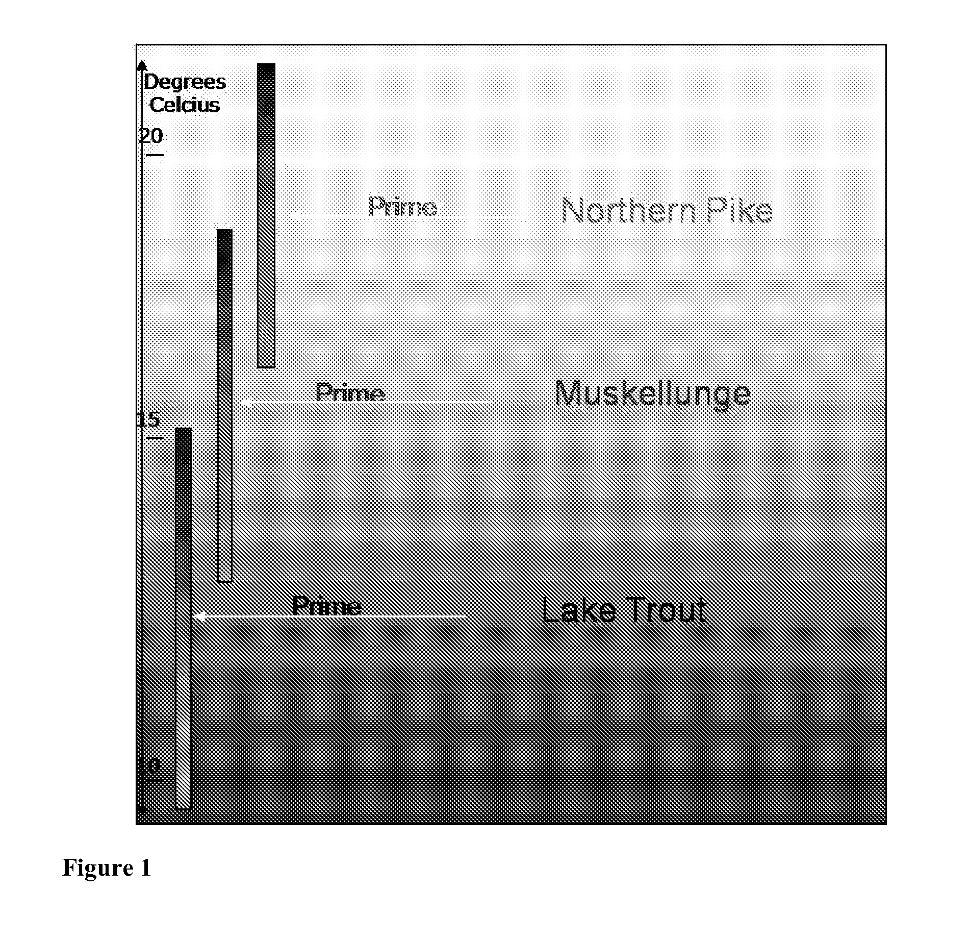 Electronic fishing device and a related system, method, and use