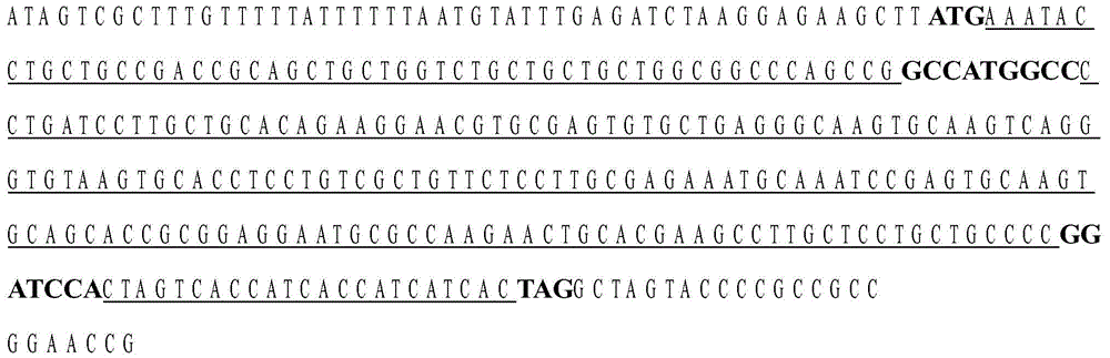 Preparation of recombinant Huaxi crab metallothionein (rcmt) and its monoclonal antibody