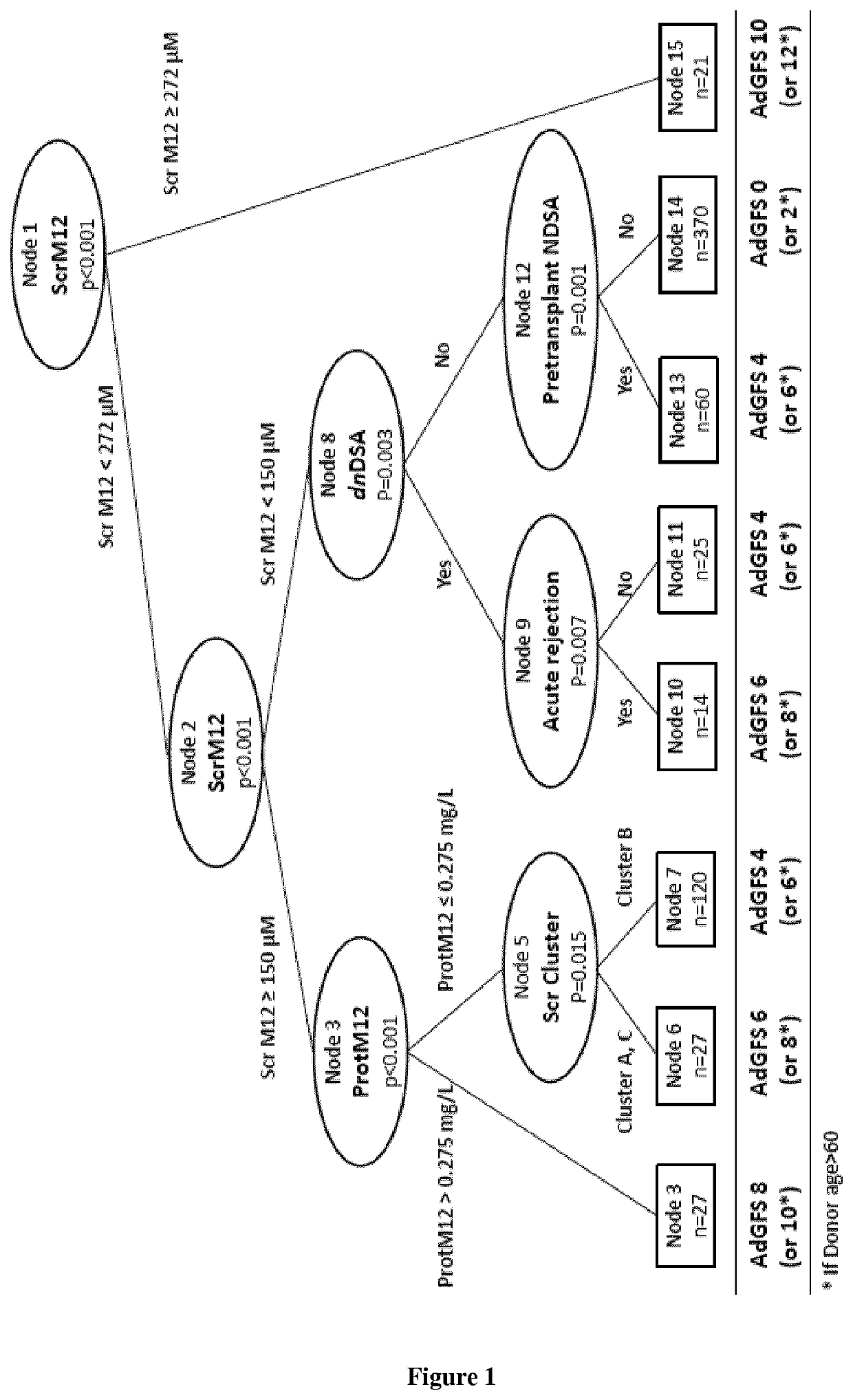 Methods for assessing graft failure risk