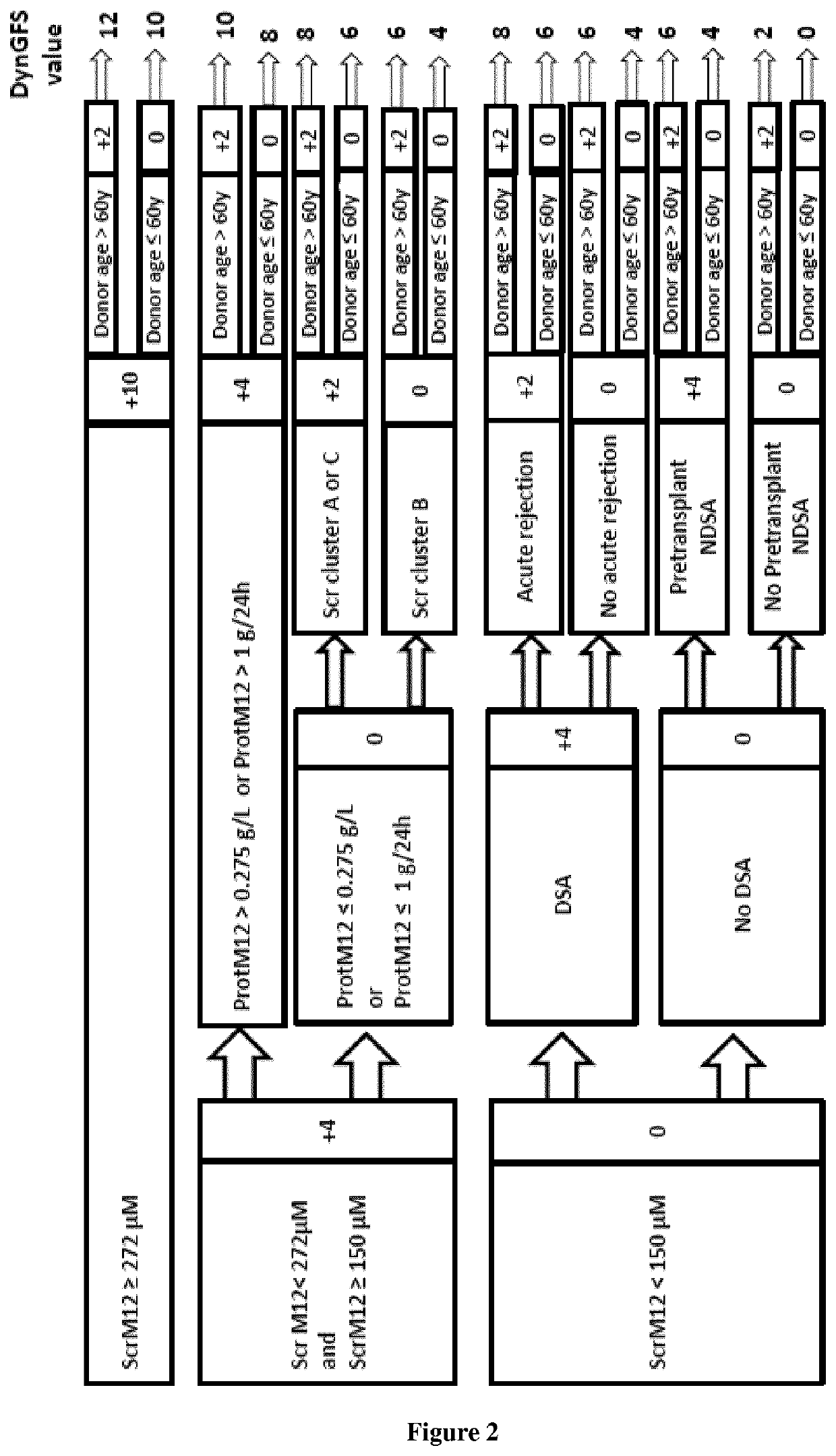 Methods for assessing graft failure risk