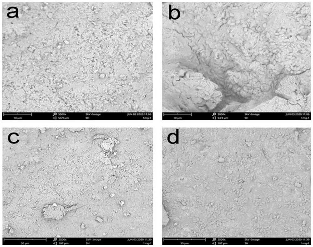 Anaerobic granular sludge loaded vulcanized nano zero-valent iron adsorption material as well as preparation method and application thereof