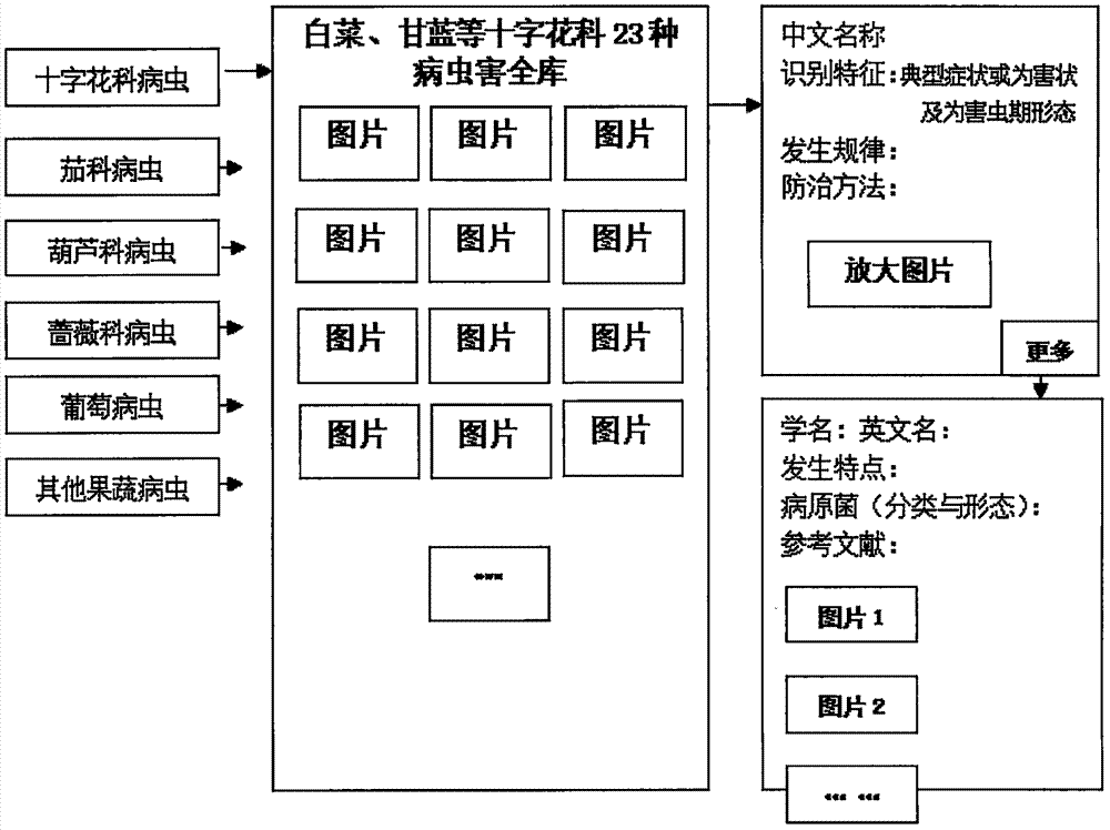 Horticultural plant pest diagnosis and treatment expert system