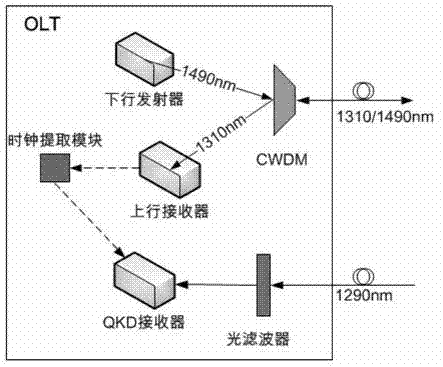 Optical access passive network supportive of quantum communication