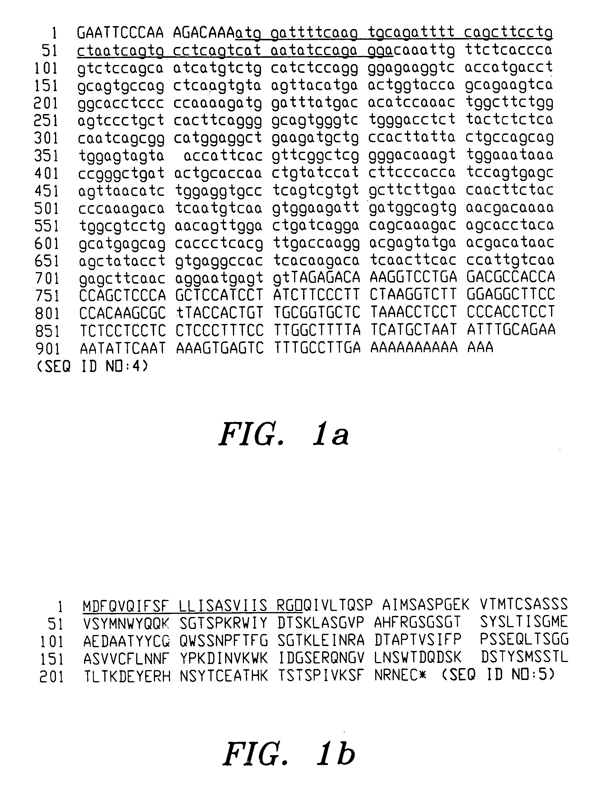 Humanised antibodies