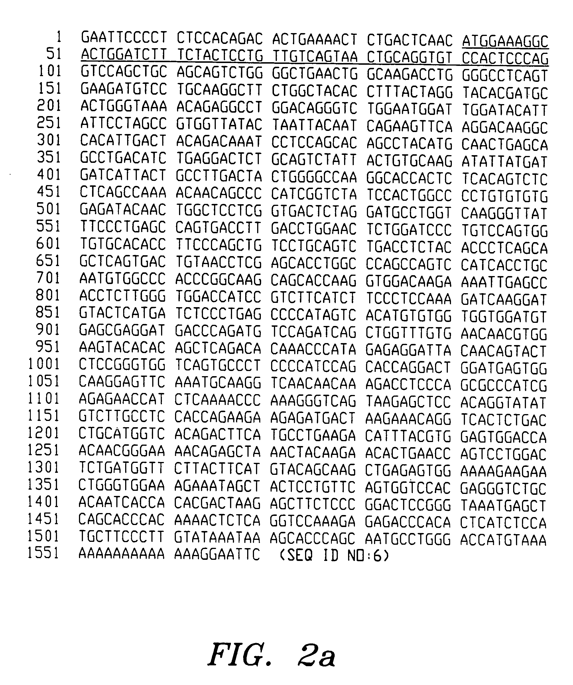 Humanised antibodies