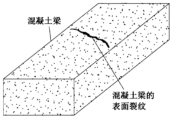 A Fine Modeling Method for Surface and Internal Damage of Concrete Structures