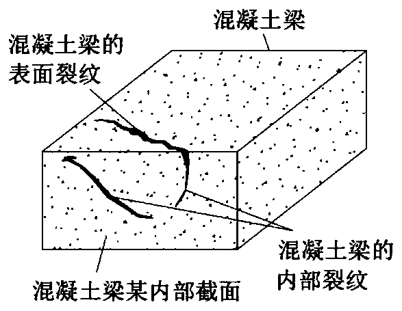 A Fine Modeling Method for Surface and Internal Damage of Concrete Structures