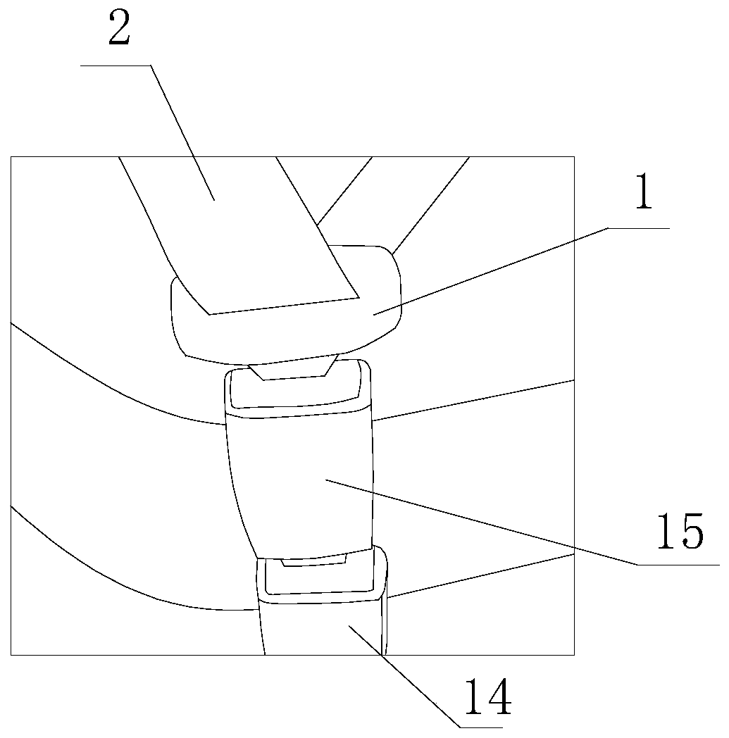 seat belt device