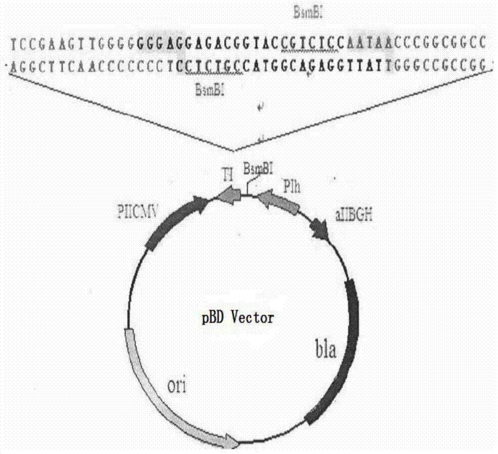 A kind of artificially recombined h9n2 avian influenza virus strain, preparation method, vaccine composition and application thereof