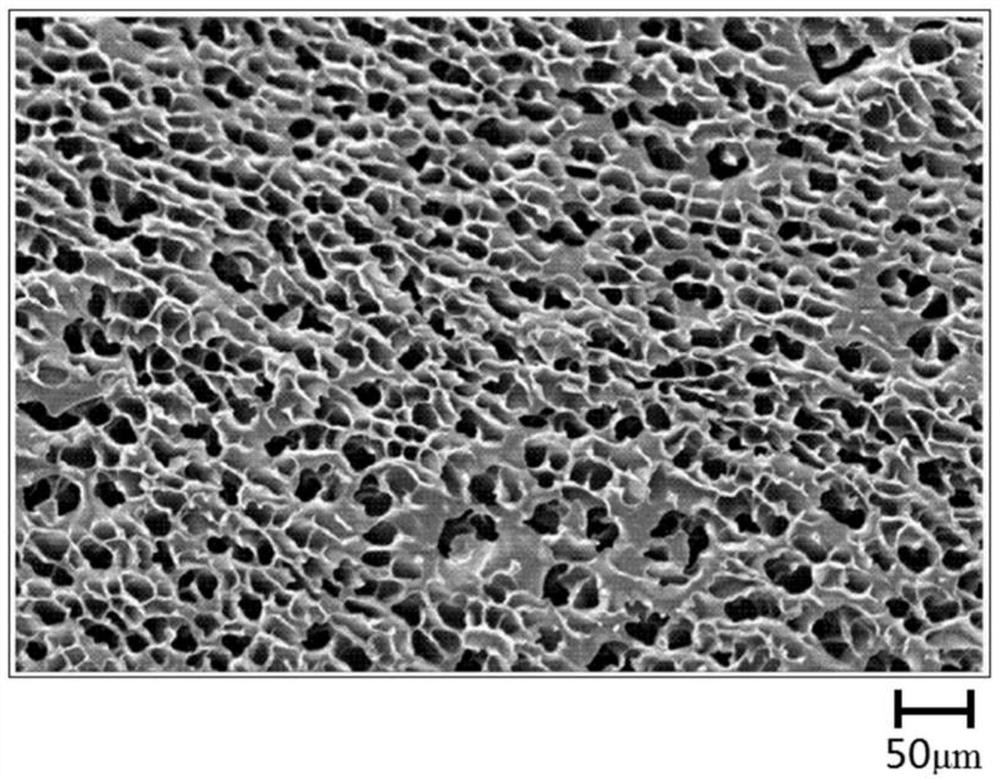 A kind of hypothermia cerebral protection interventional catheter and preparation method thereof