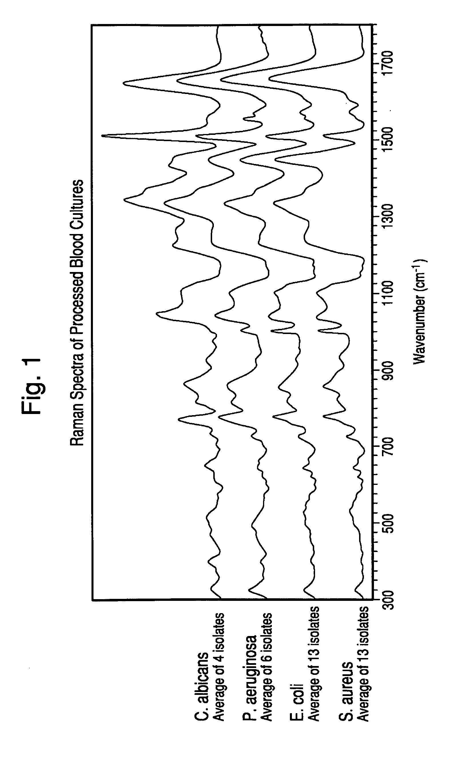 Method for separation, characterization and/or identification of microorganisms using raman spectroscopy