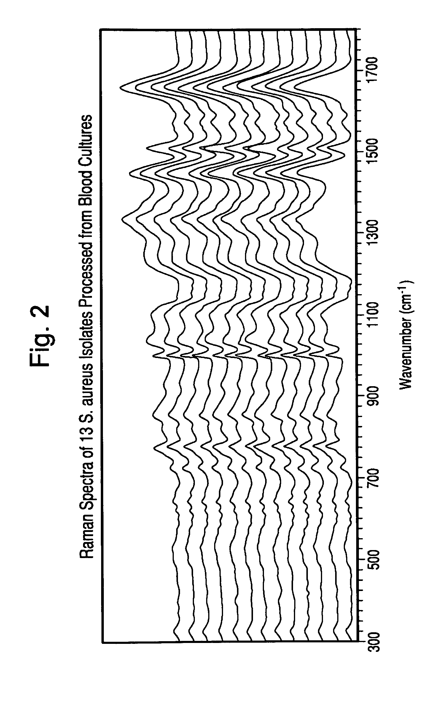 Method for separation, characterization and/or identification of microorganisms using raman spectroscopy