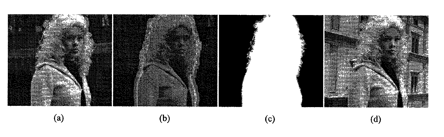 Real-time image and video matting