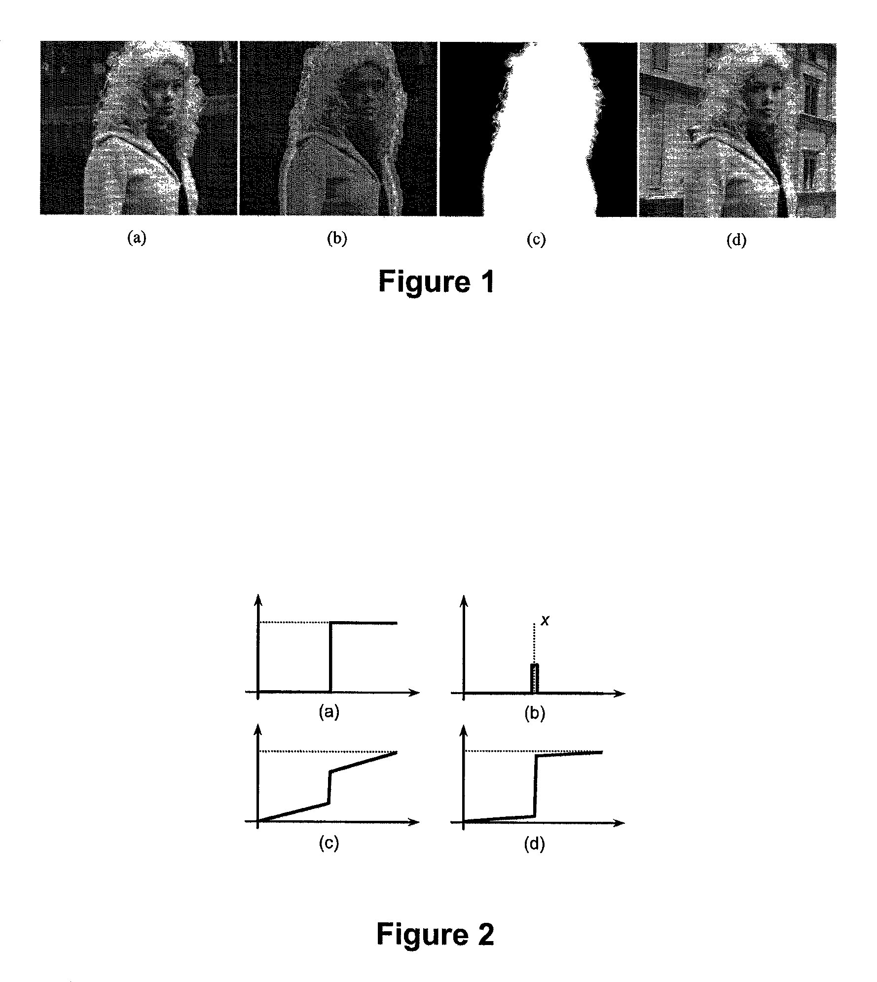 Real-time image and video matting