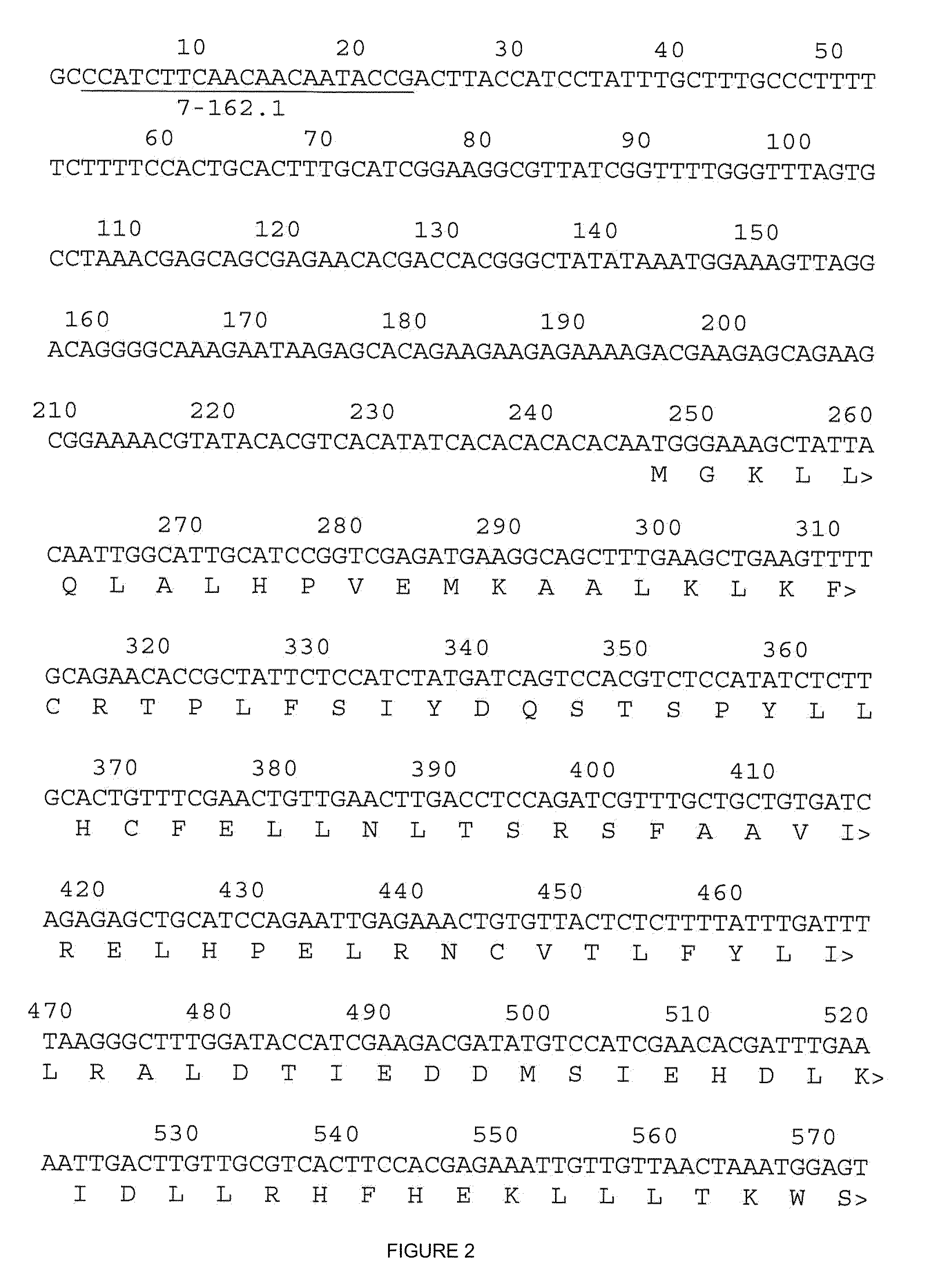 Isoprenoid compounds