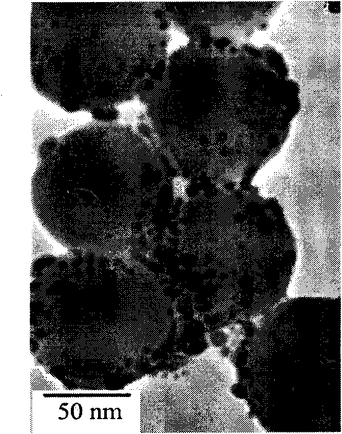 Method for in-situ detection of nano noble metal catalyst