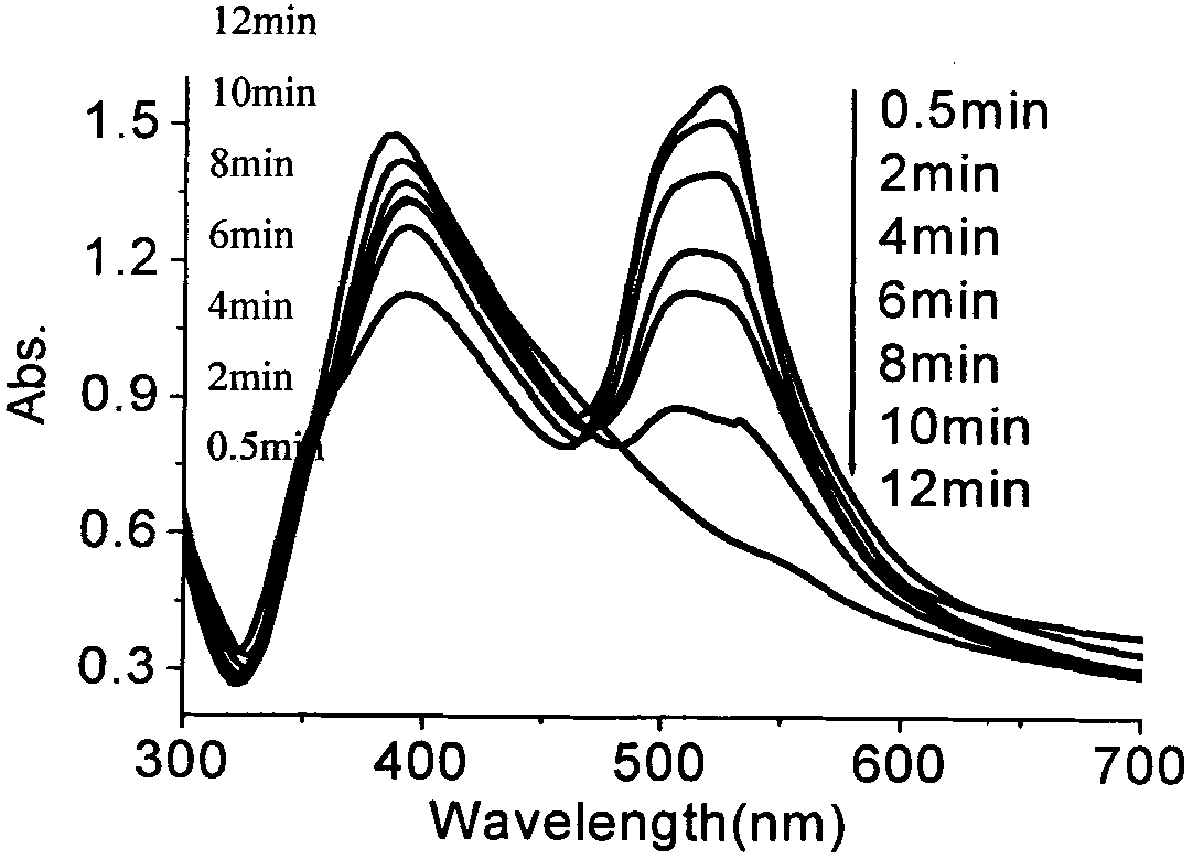 Method for in-situ detection of nano noble metal catalyst