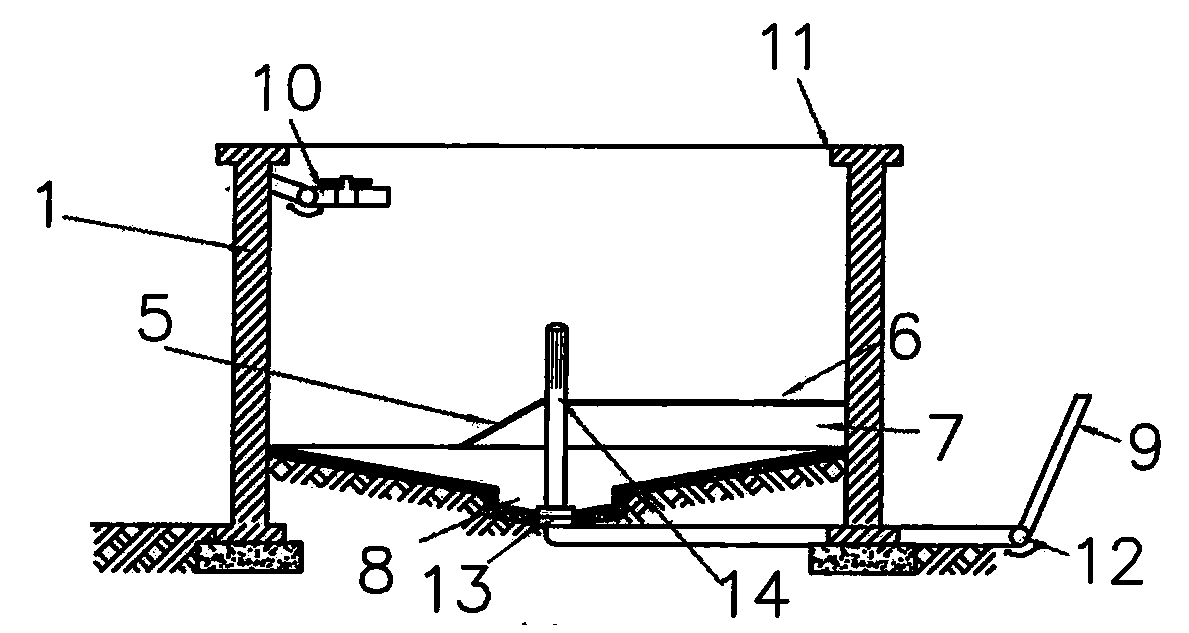 Method for building aquatic rare amphibian industrial culture pond