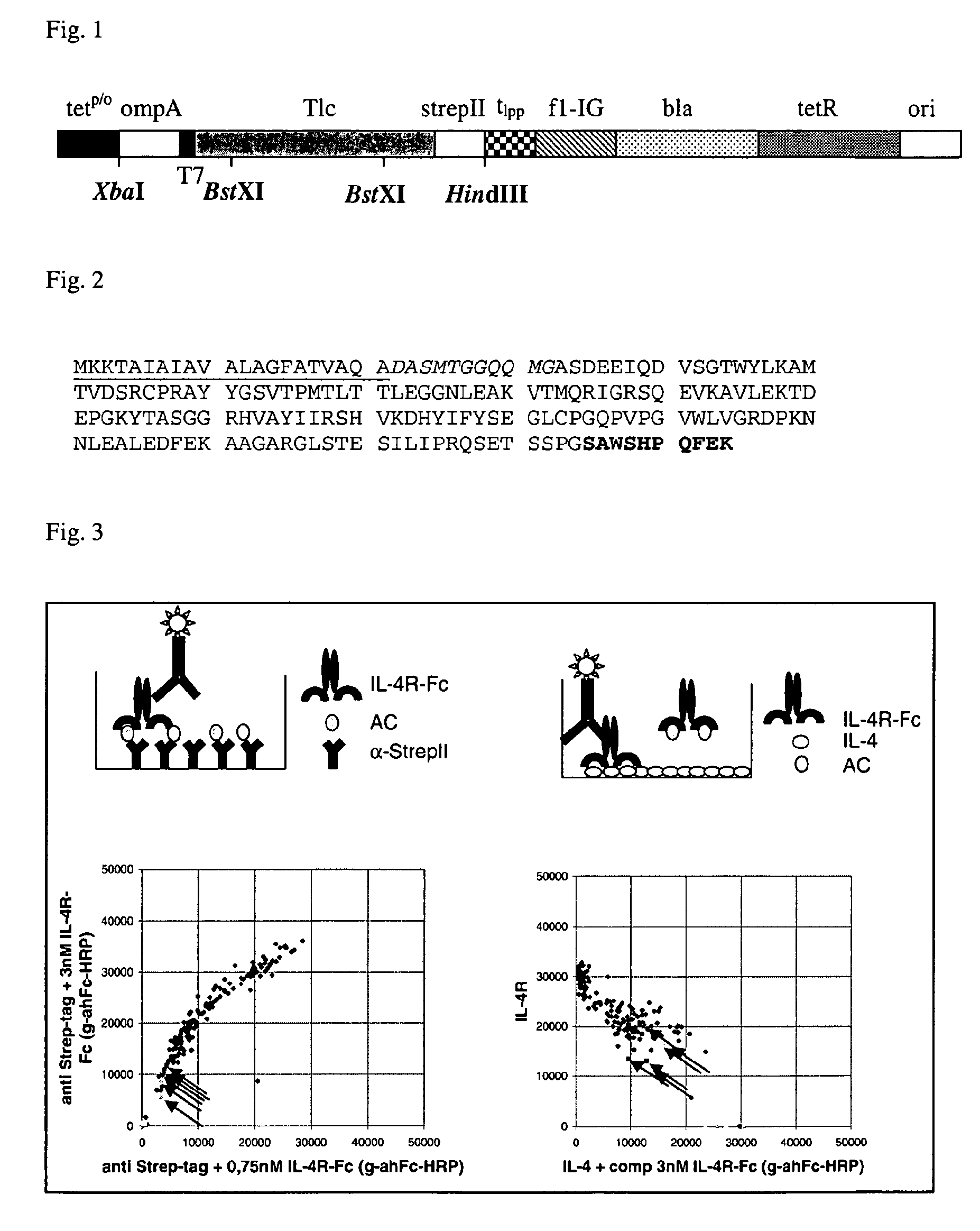 Muteins of tear lipocalin and methods for obtaining the same