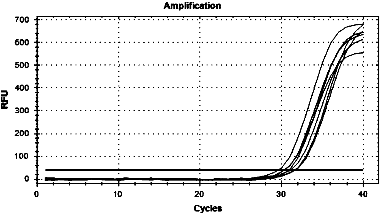 Method special for rapid massive extraction of oral epithelial cell DNA