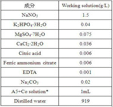 Monoraphidium sp. strain with high yield of starch and fat as well as culture and applications of monoraphidium sp.