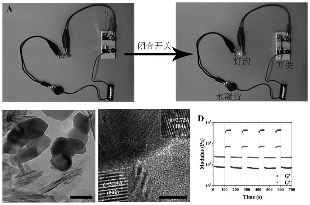 Electroactive perovskite hydrogel suitable for electrical stimulation bone regeneration as well as preparation and application of electroactive perovskite hydrogel