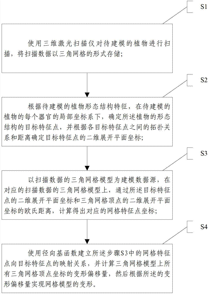 Radial basis function-based plant three-dimensional configuration virtual modeling method