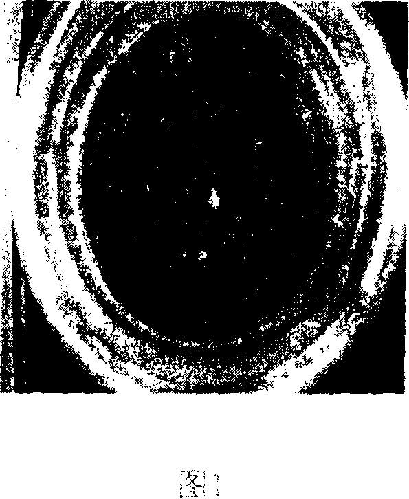 Method for transferring Tibetan medicinal effective component into receptor cell using somatic cell cross breeding technology