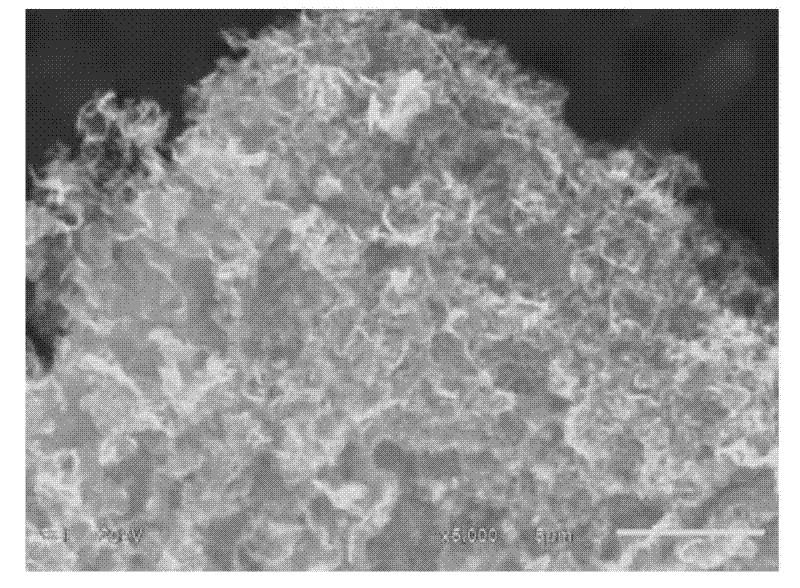 Preparation method for graphene material with porous structure