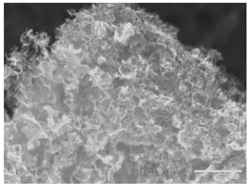 Preparation method for graphene material with porous structure