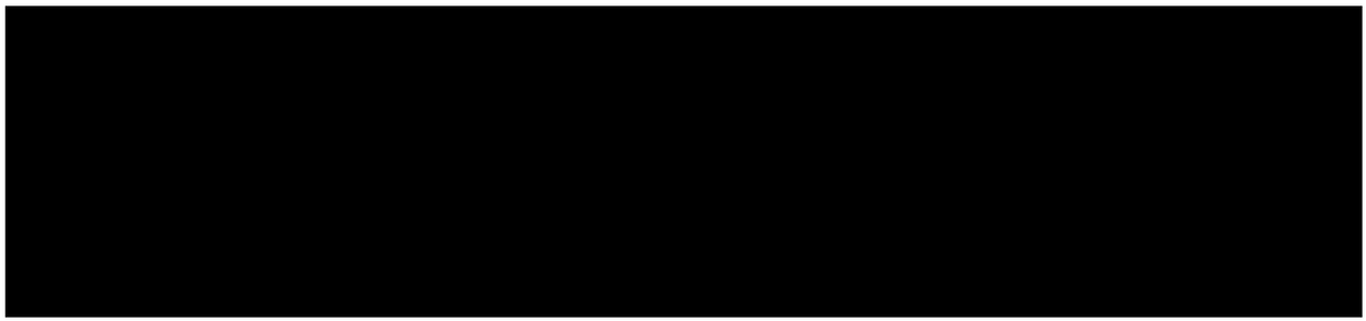 Camphor free whole genome SSR molecular marker, preparation method and application thereof