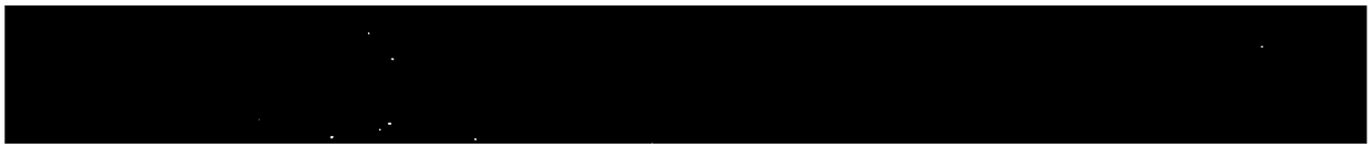 Camphor free whole genome SSR molecular marker, preparation method and application thereof