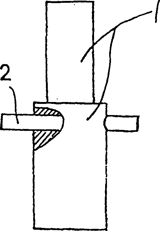 Processing method of lighter electronic striking head and its special mould