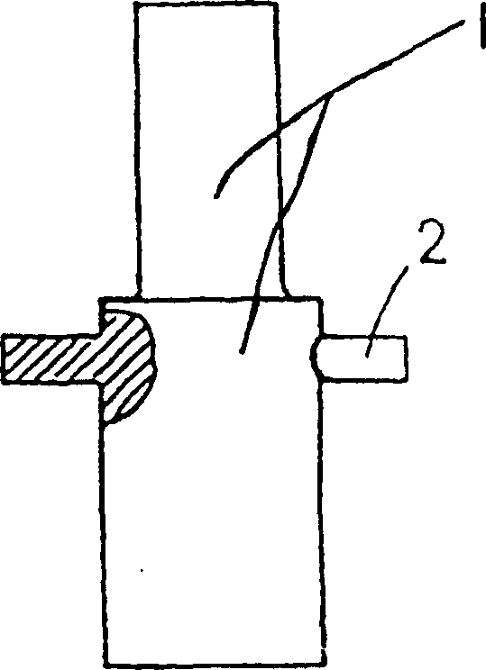 Processing method of lighter electronic striking head and its special mould