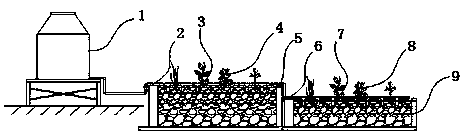 Method and system for denitrifying low-carbon high-nitrogen sewage by utilizing plant carbon source-enhanced artificial wetland