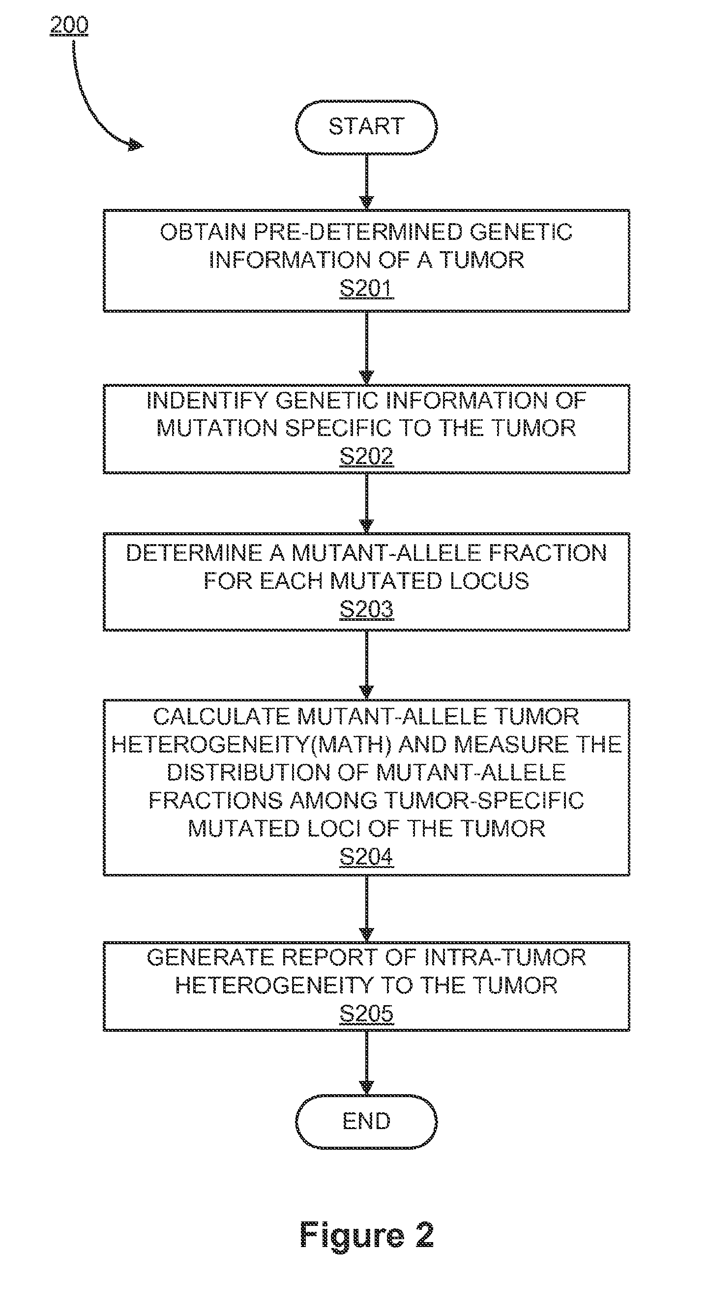 System and method for using genetic data to determine intra-tumor heterogeneity