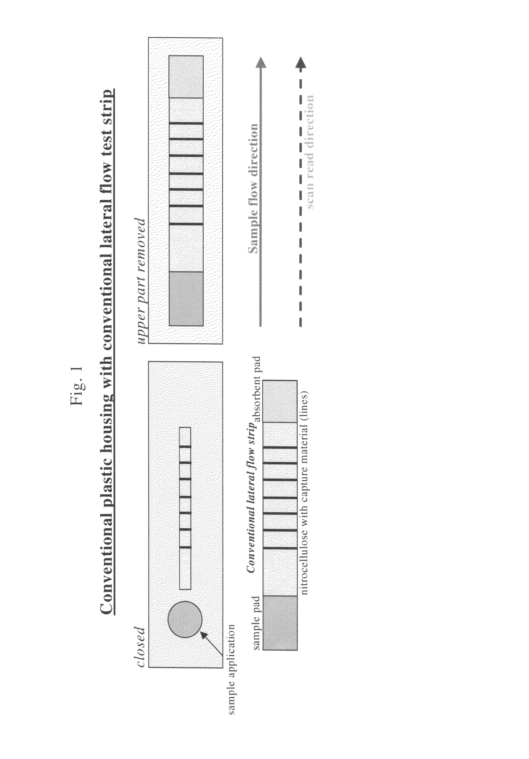 Lateral flow assay device with multiple equidistant capture zones