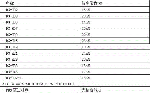 Nucleic acid aptamer combined with hepatitis delta virus and application thereof