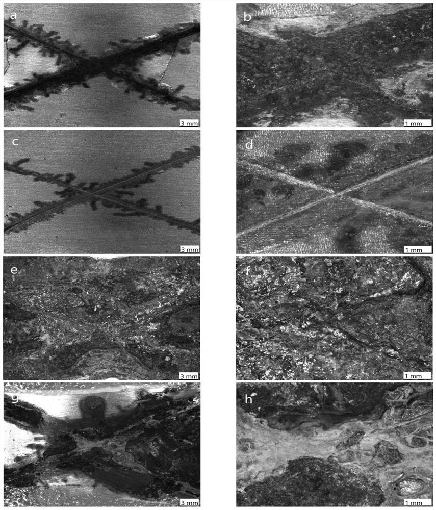 PH stimulation response intelligent repair coating and preparation method thereof