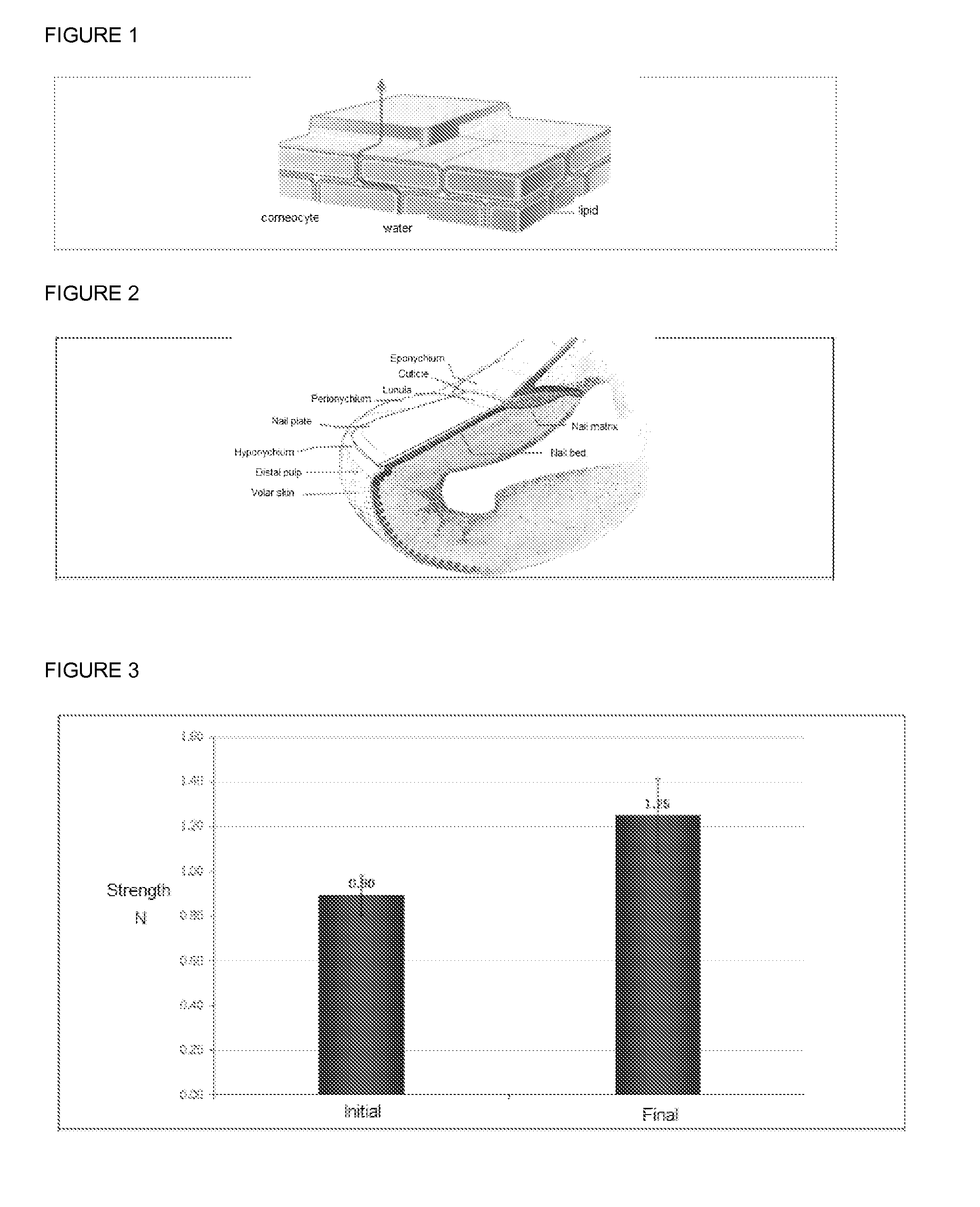 Compositions for Cosmetic Formulation Comprising A Mixture Selected From Murumuru Butter, Ucuúba Butter, Brazilian-Nut Oil, Passion Fruit Oil, Cupuassu Butter, Assaí Oil and / or Nhandiroba Oil and / or Esters Therefor, As Well As The Use Of  A Mixture for Preparation Of A Cosmetic Product