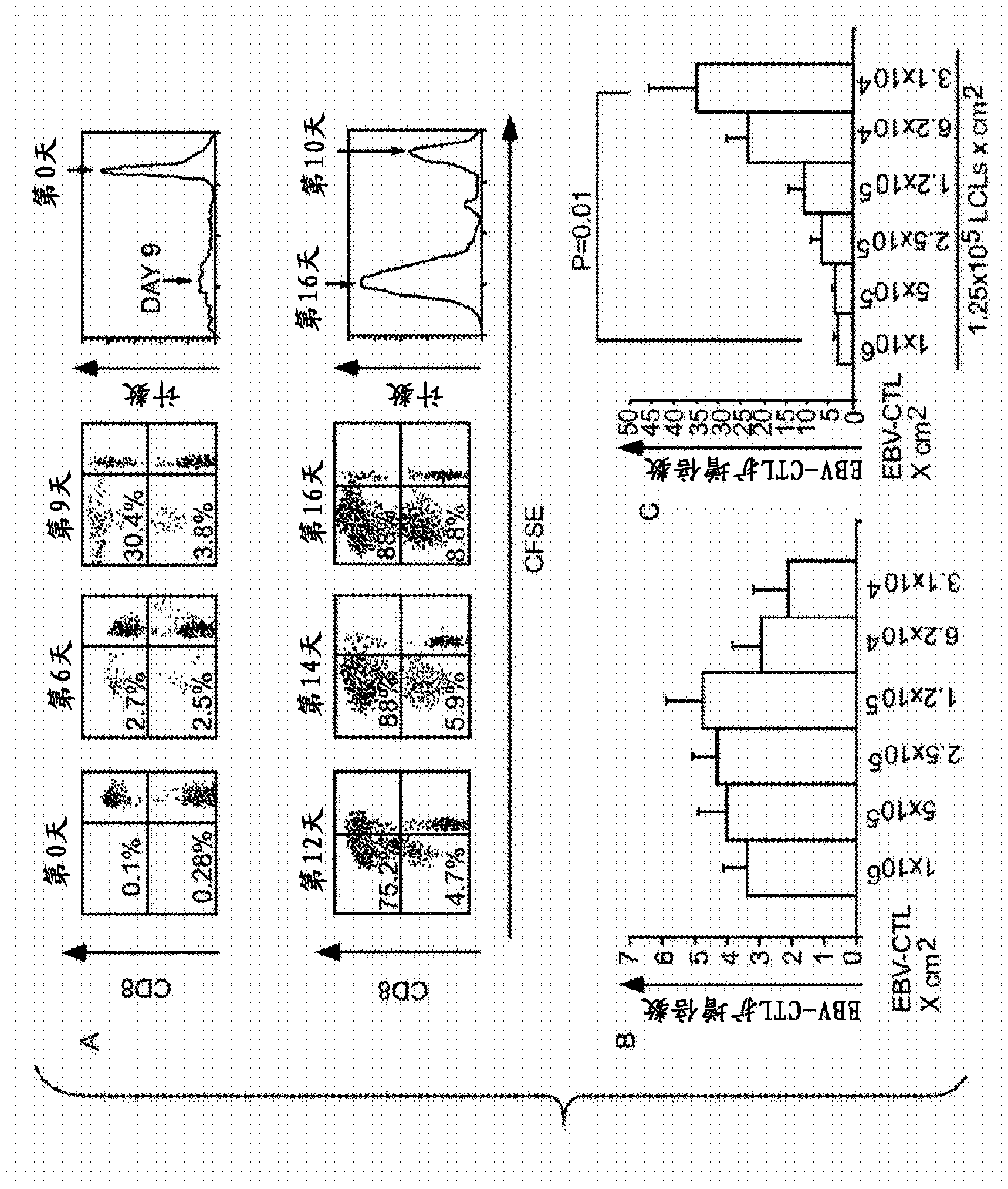 Improved methods of cell culture for adoptive cell therapy