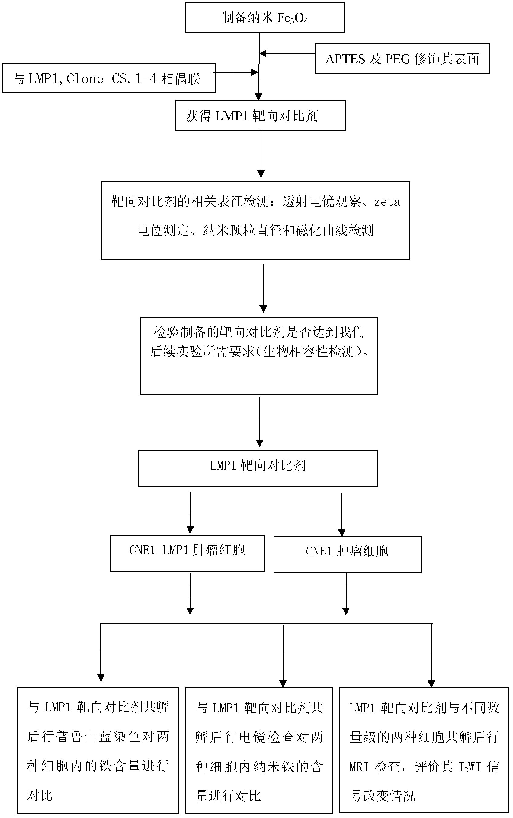 Nasopharyngeal carcinoma targeted magnetic resonance contrast agent and preparation method thereof