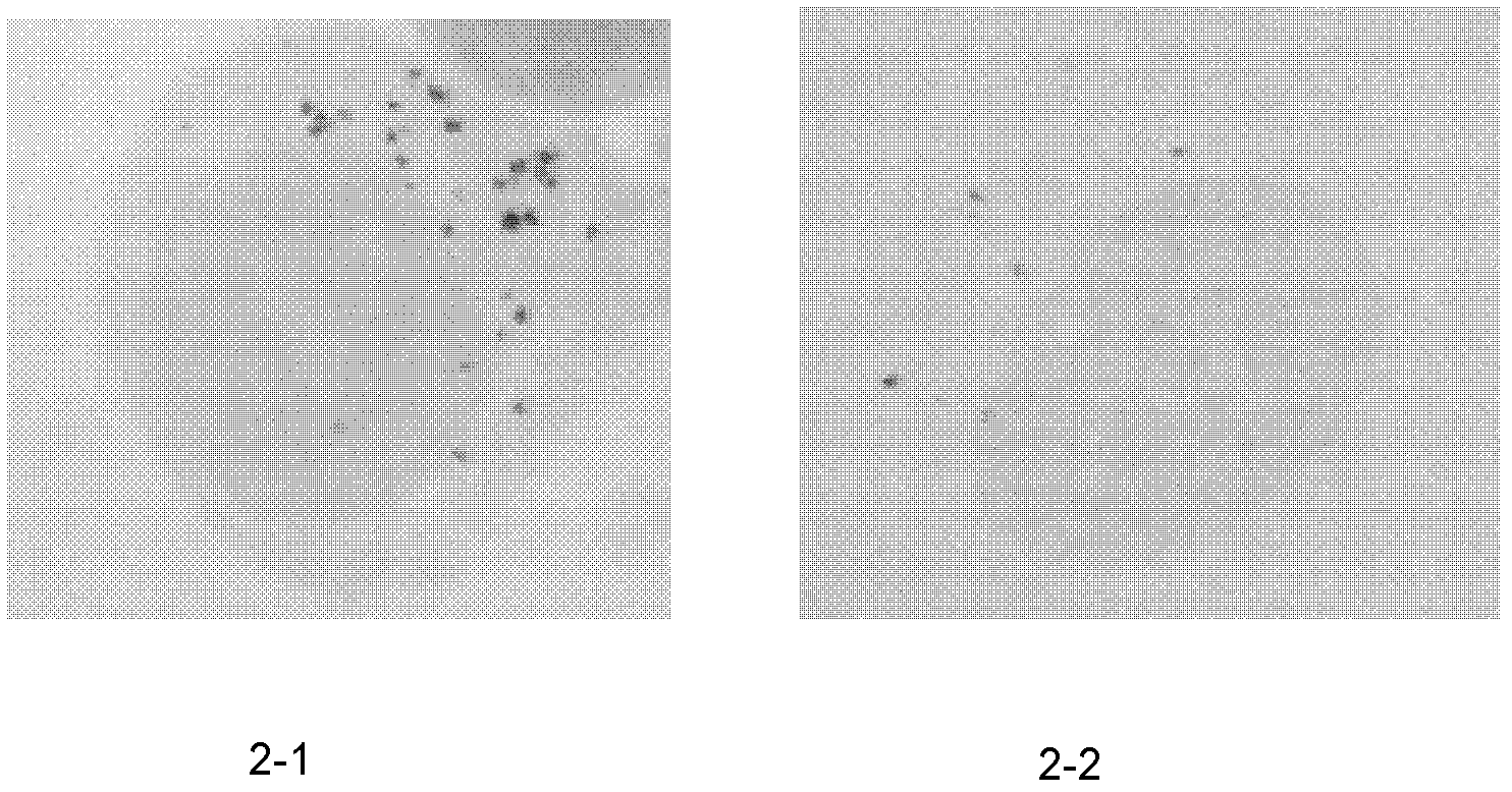 Nasopharyngeal carcinoma targeted magnetic resonance contrast agent and preparation method thereof