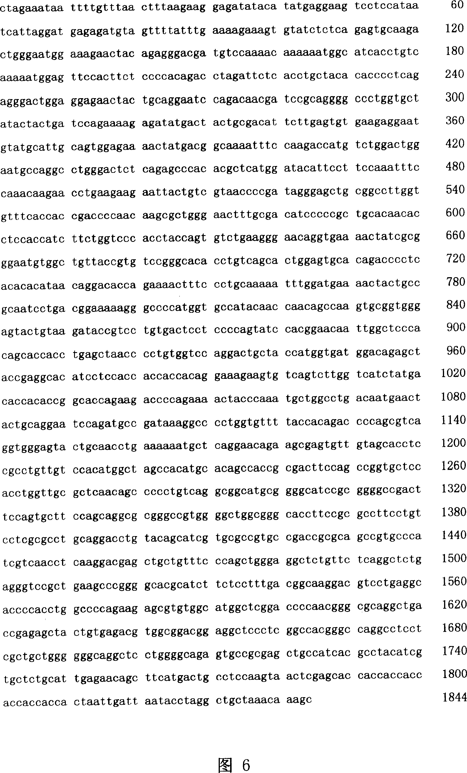 Fusion expressed product of vascular inhibine and endostatin in colibacillus and its preparing method