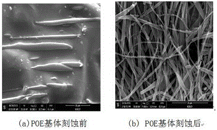 In-situ-formed-fiber-reinforced thermoplastic elastomer film material and preparation method thereof