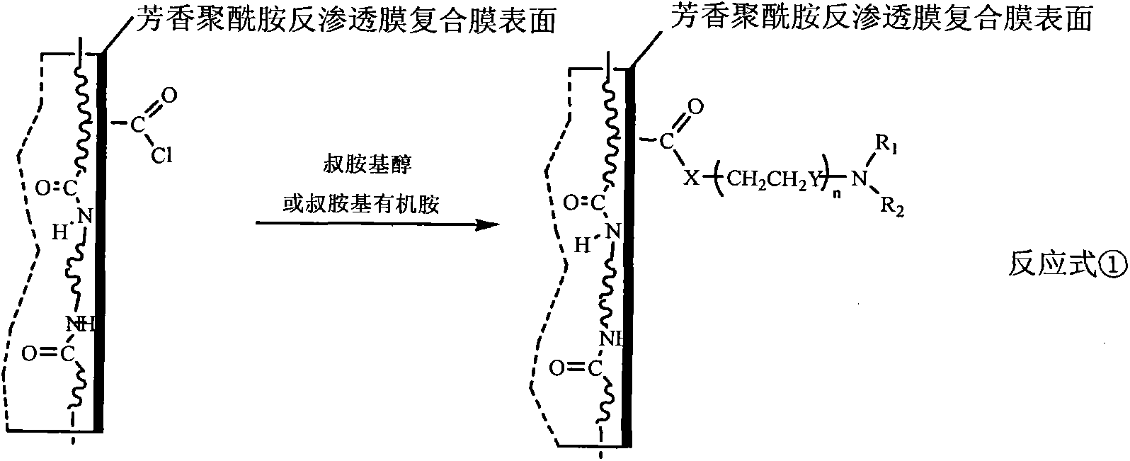 Method of surface functionalization of aramatic polyamides reverse osmosis thin film composite membrane