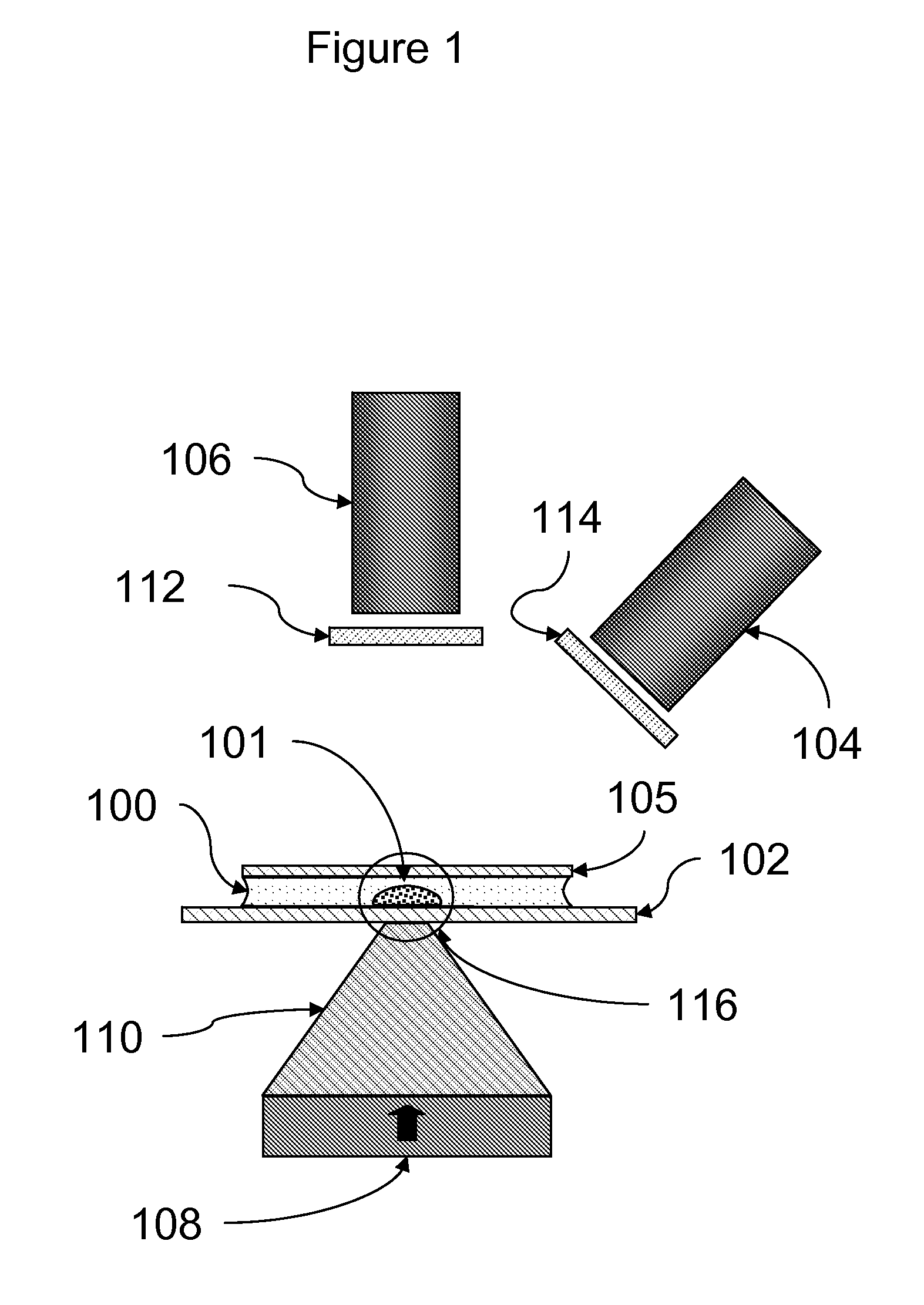 Rapid particle detection assay