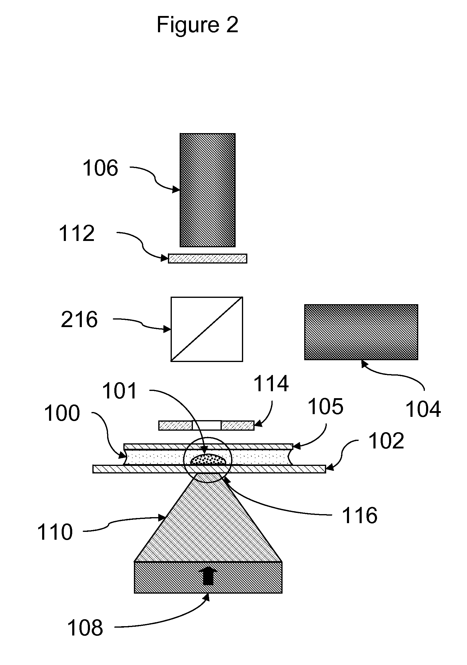 Rapid particle detection assay