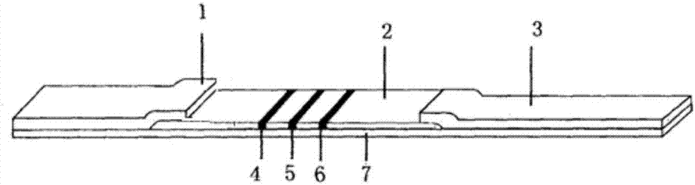 Carbofuran and isoprocarb double joint inspection immune fluorescent test paper strip, kit and application thereof