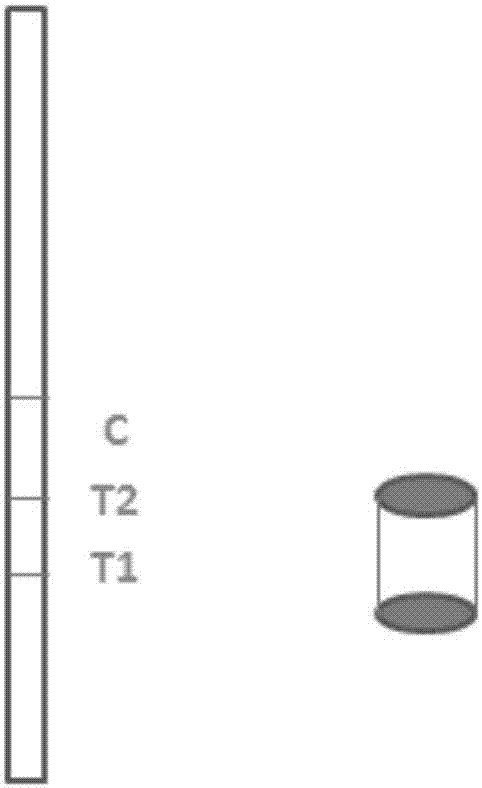 Carbofuran and isoprocarb double joint inspection immune fluorescent test paper strip, kit and application thereof